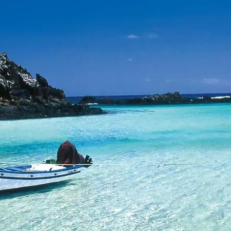 Ohana Surf House *